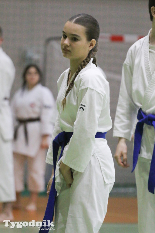 Karate: seminarium szkoleniowe z sensei Cerutim