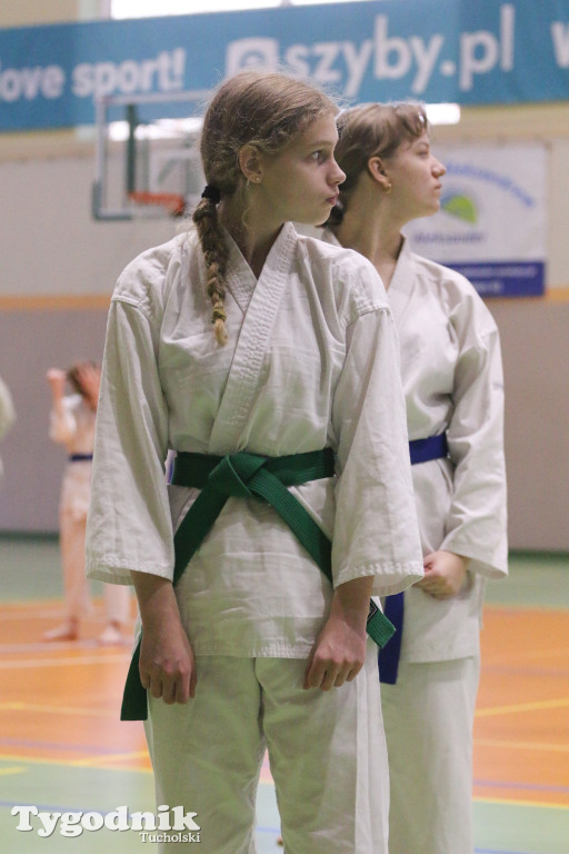 Karate: seminarium szkoleniowe z sensei Cerutim