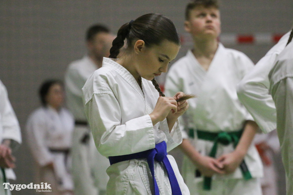 Karate: seminarium szkoleniowe z sensei Cerutim