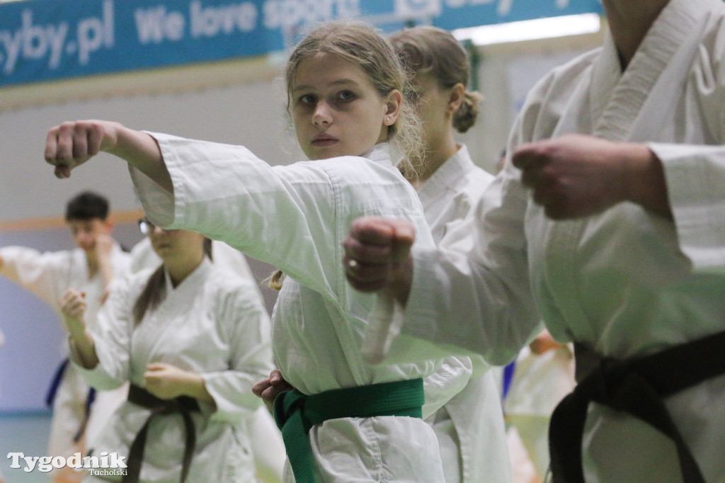 Karate: seminarium szkoleniowe z sensei Cerutim