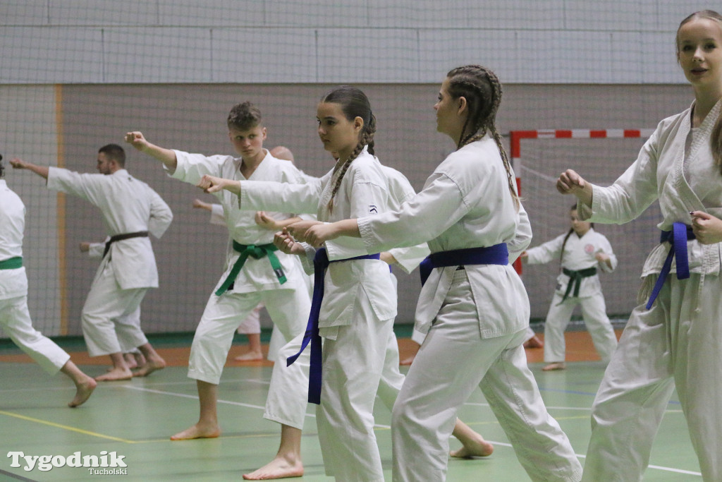 Karate: seminarium szkoleniowe z sensei Cerutim