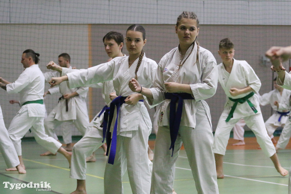 Karate: seminarium szkoleniowe z sensei Cerutim