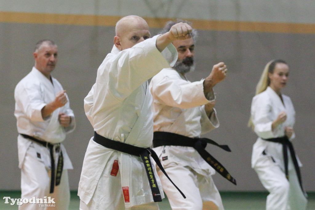 Karate: seminarium szkoleniowe z sensei Cerutim