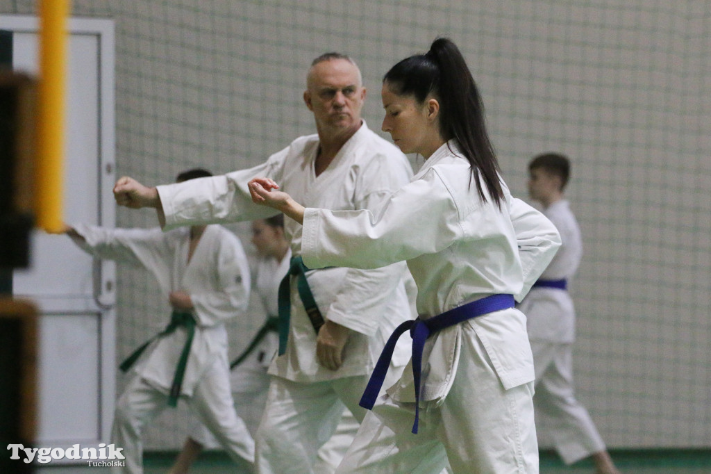 Karate: seminarium szkoleniowe z sensei Cerutim