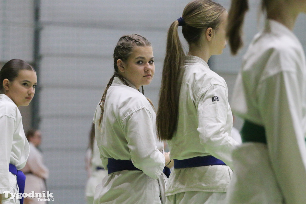 Karate: seminarium szkoleniowe z sensei Cerutim