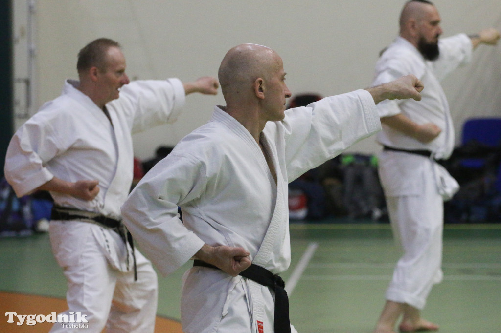 Karate: seminarium szkoleniowe z sensei Cerutim