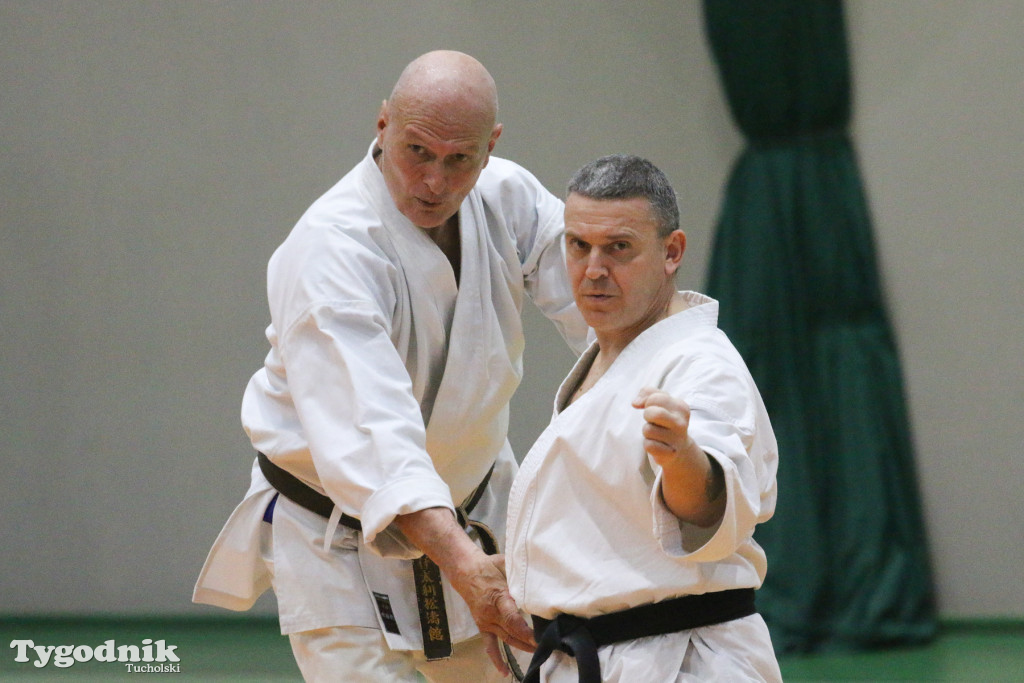 Karate: seminarium szkoleniowe z sensei Cerutim