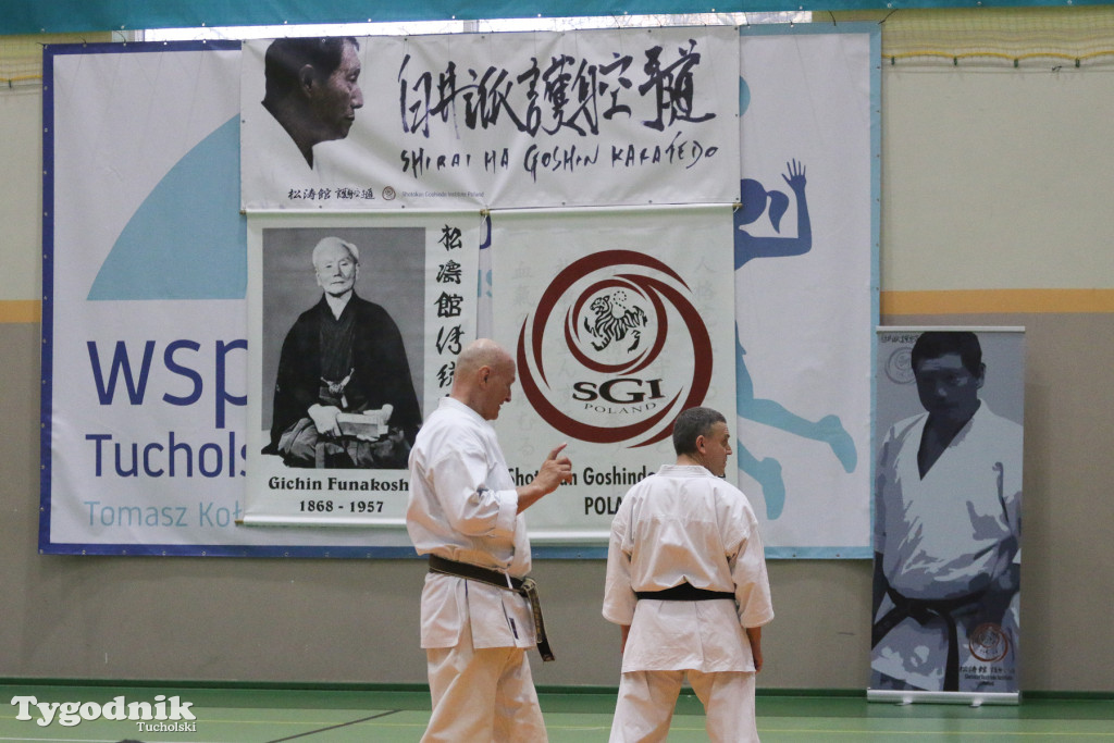 Karate: seminarium szkoleniowe z sensei Cerutim