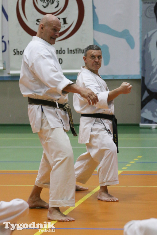 Karate: seminarium szkoleniowe z sensei Cerutim