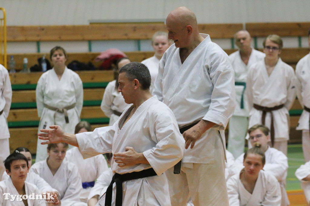 Karate: seminarium szkoleniowe z sensei Cerutim