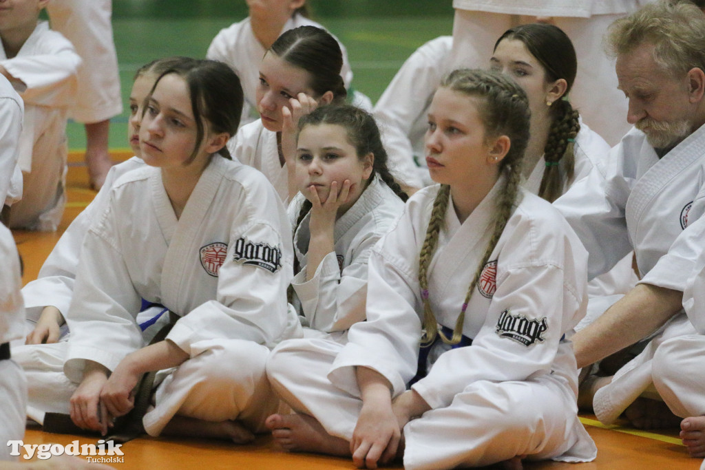 Karate: seminarium szkoleniowe z sensei Cerutim