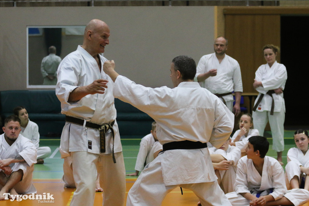 Karate: seminarium szkoleniowe z sensei Cerutim