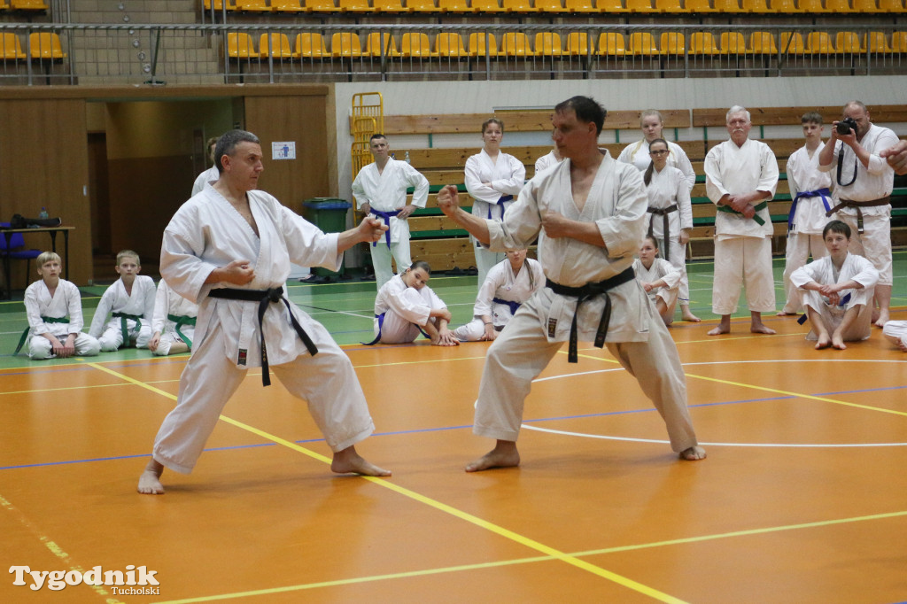 Karate: seminarium szkoleniowe z sensei Cerutim