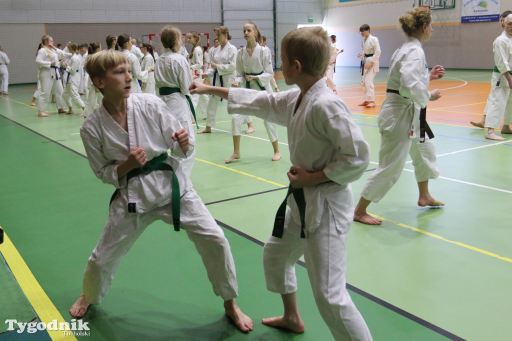 Karate: seminarium szkoleniowe z sensei Cerutim