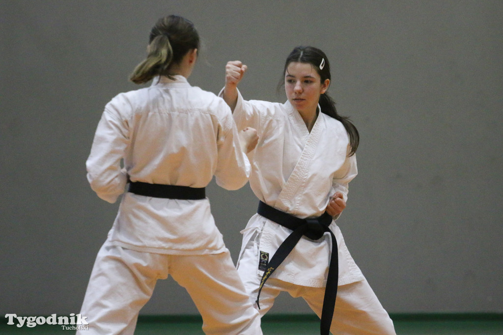 Karate: seminarium szkoleniowe z sensei Cerutim