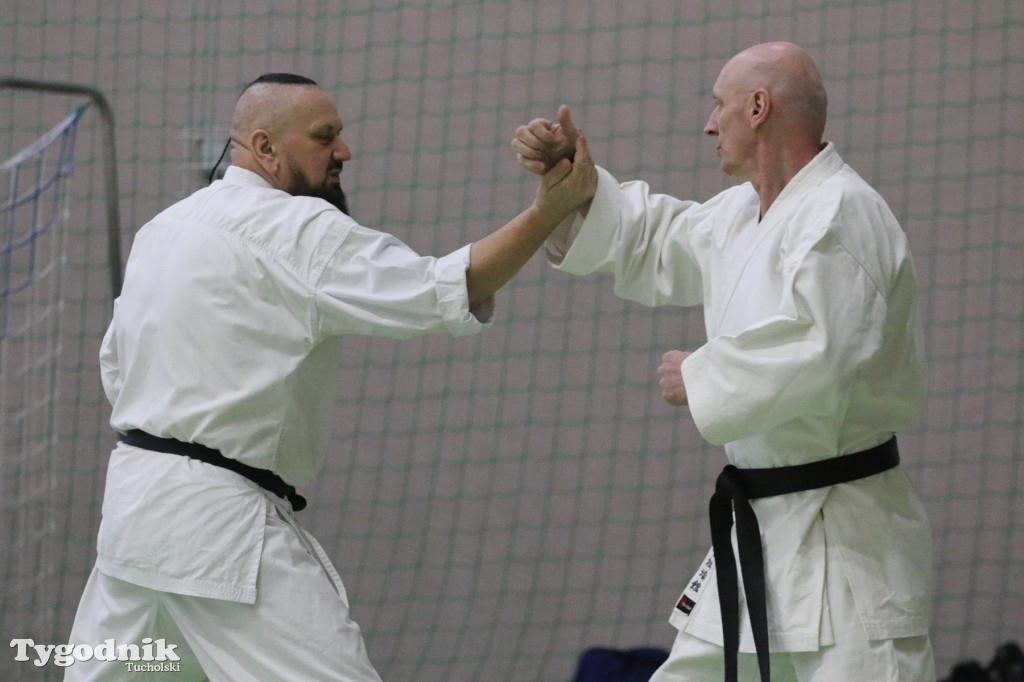 Karate: seminarium szkoleniowe z sensei Cerutim