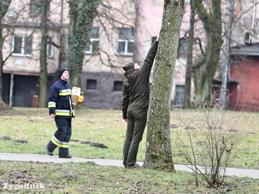 W parku w Kęsowie zawisły budki lęgowe. Akcja u progu wiosny