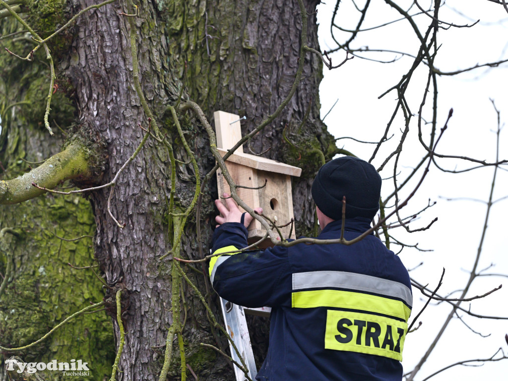 W parku w Kęsowie zawisły budki lęgowe. Akcja u progu wiosny