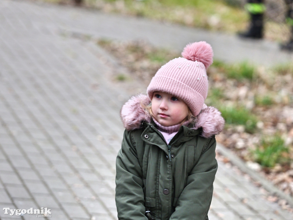 W parku w Kęsowie zawisły budki lęgowe. Akcja u progu wiosny