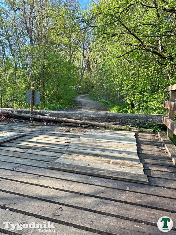 Kto odpowiada za uszkodzony most w Świcie?