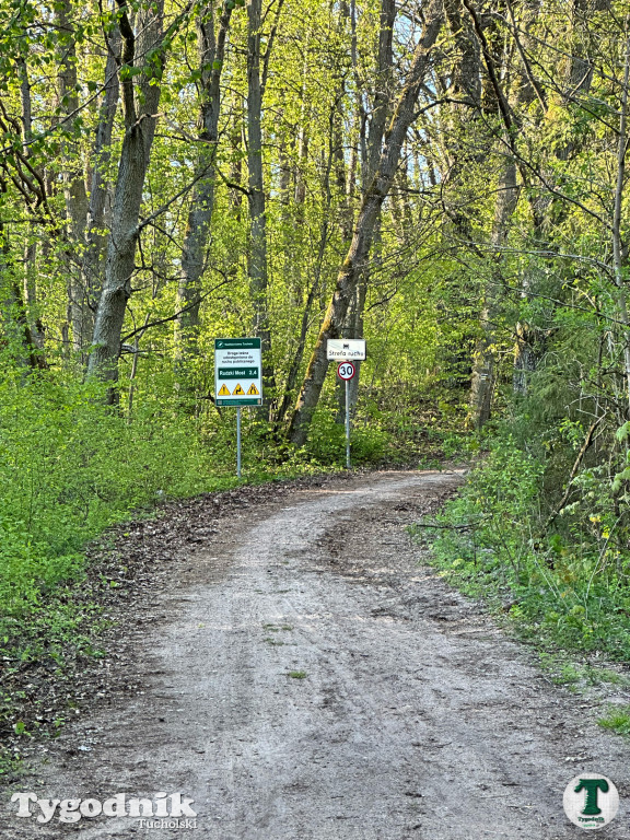 Kto odpowiada za uszkodzony most w Świcie?
