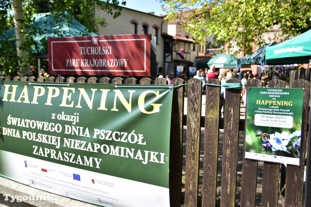 Happening TPK. O dzikich pszczołach i niezapominajce