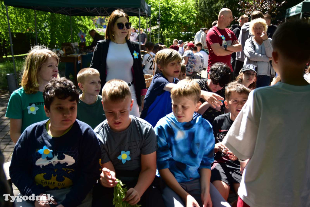 Happening TPK. O dzikich pszczołach i niezapominajce