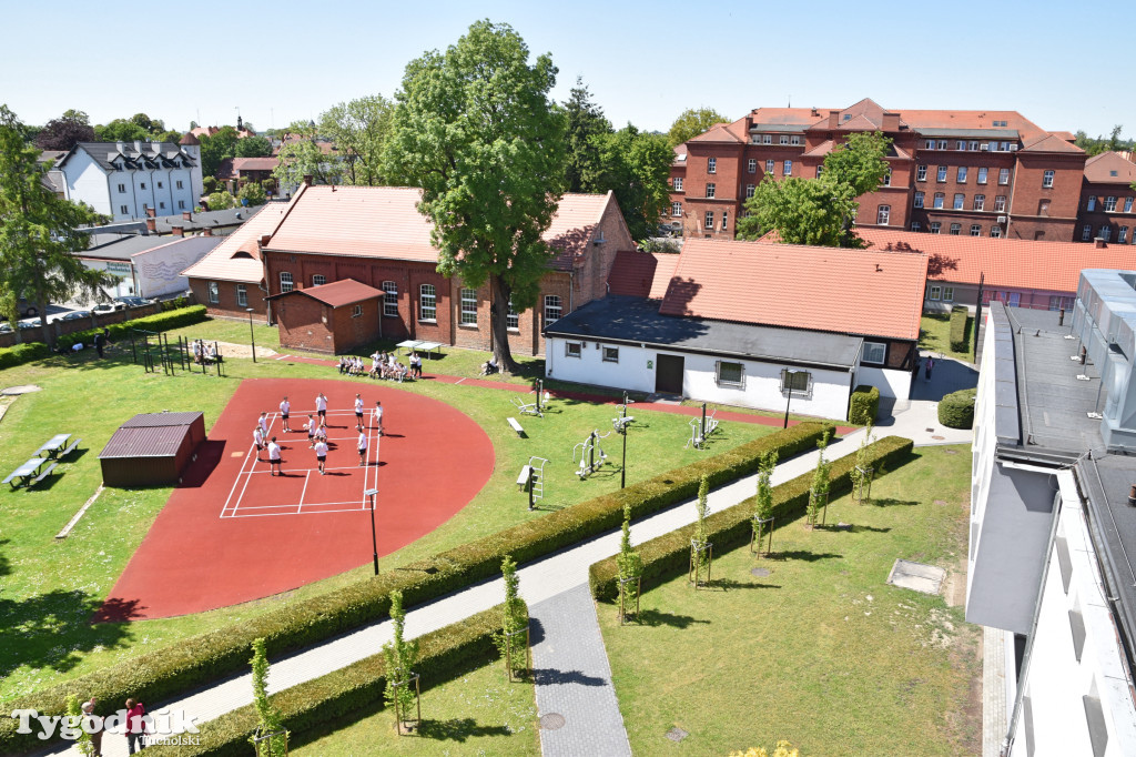 Leśnictwo w Tucholi - Branżowe Centrum Umiętności