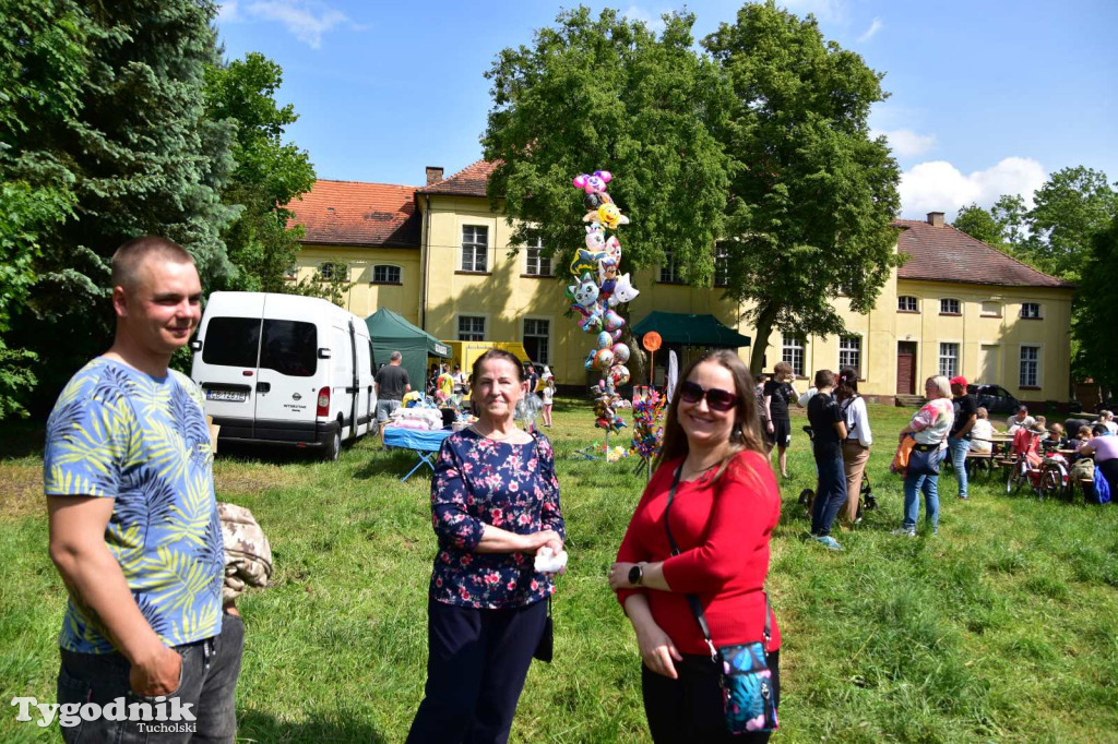 Festyn Rodzinny w Kamienicy