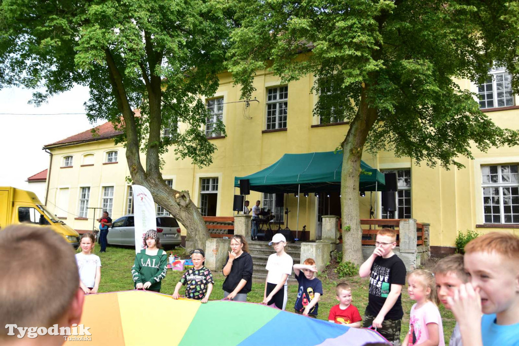 Festyn Rodzinny w Kamienicy