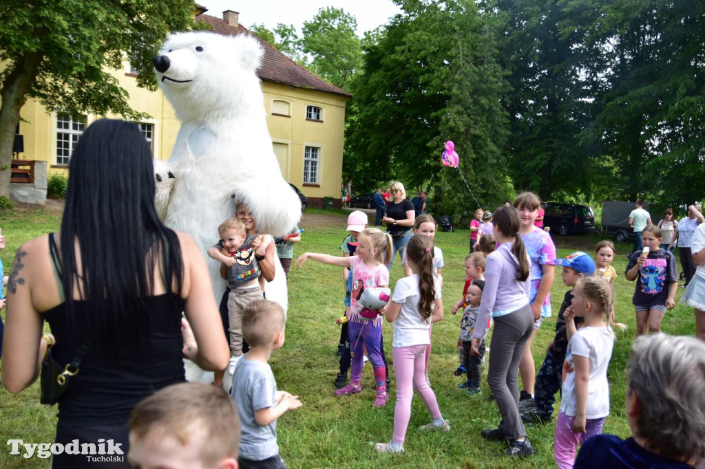 Festyn Rodzinny w Kamienicy