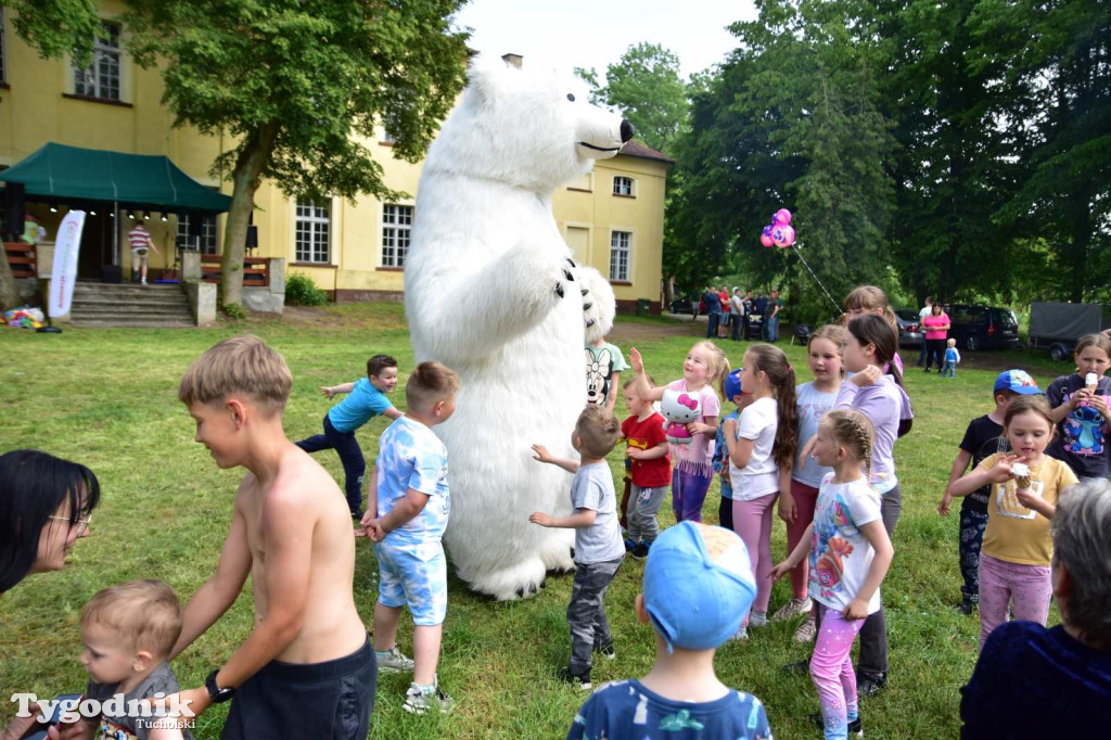Festyn Rodzinny w Kamienicy