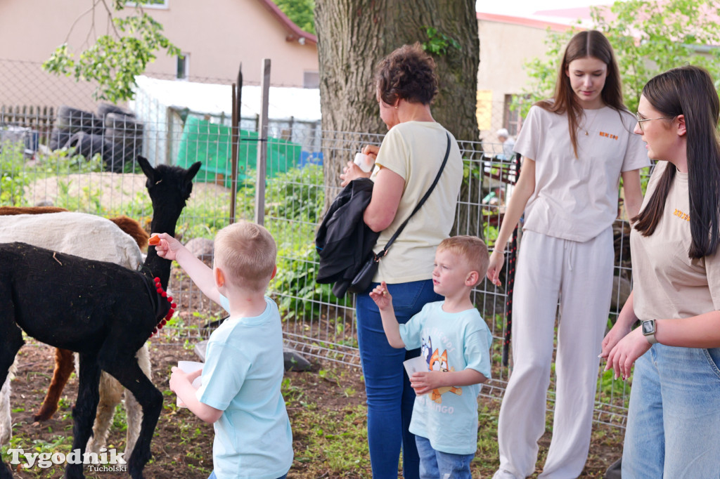 Gminny Dzień Strażaka - Cierplewo, gmina Lubiewo