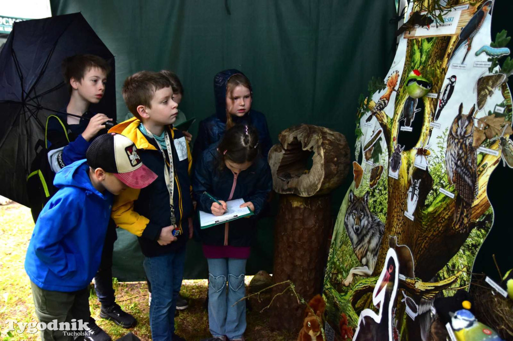 29. edycja konkursu Przyroda wokół nas