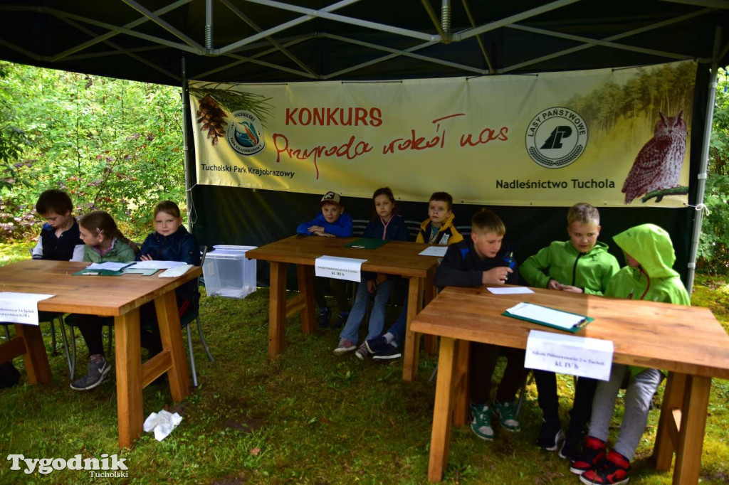 29. edycja konkursu Przyroda wokół nas