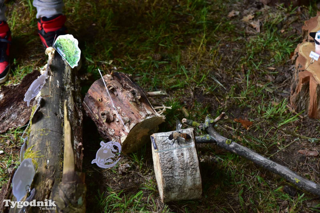 29. edycja konkursu Przyroda wokół nas