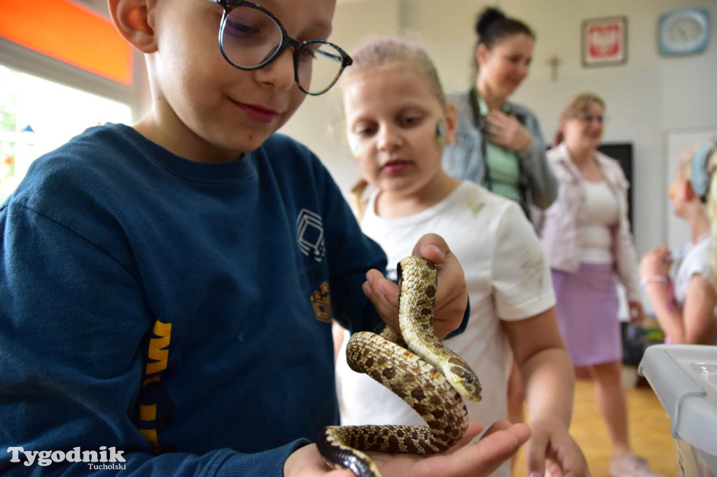 Dzień Dziecka w Szkole Podstawowej w Kęsowie