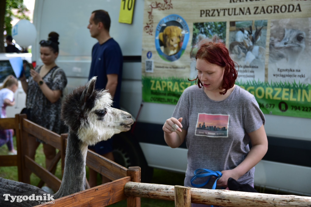 Festyn Chojnice dla Ziemi