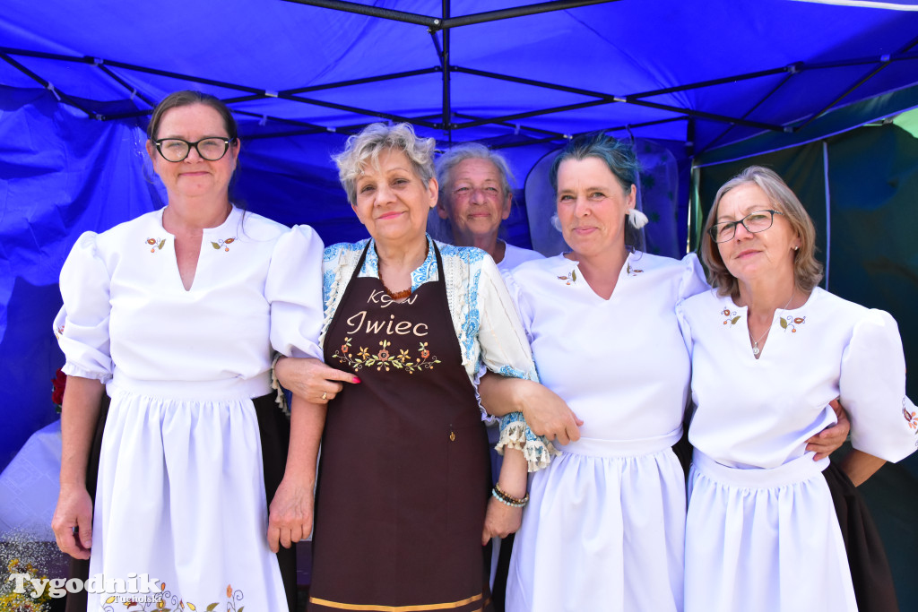 Drugie Dni Lubiewa oraz I etap X edycji Ogólnopolskiego Konkursu Kulinarnego \