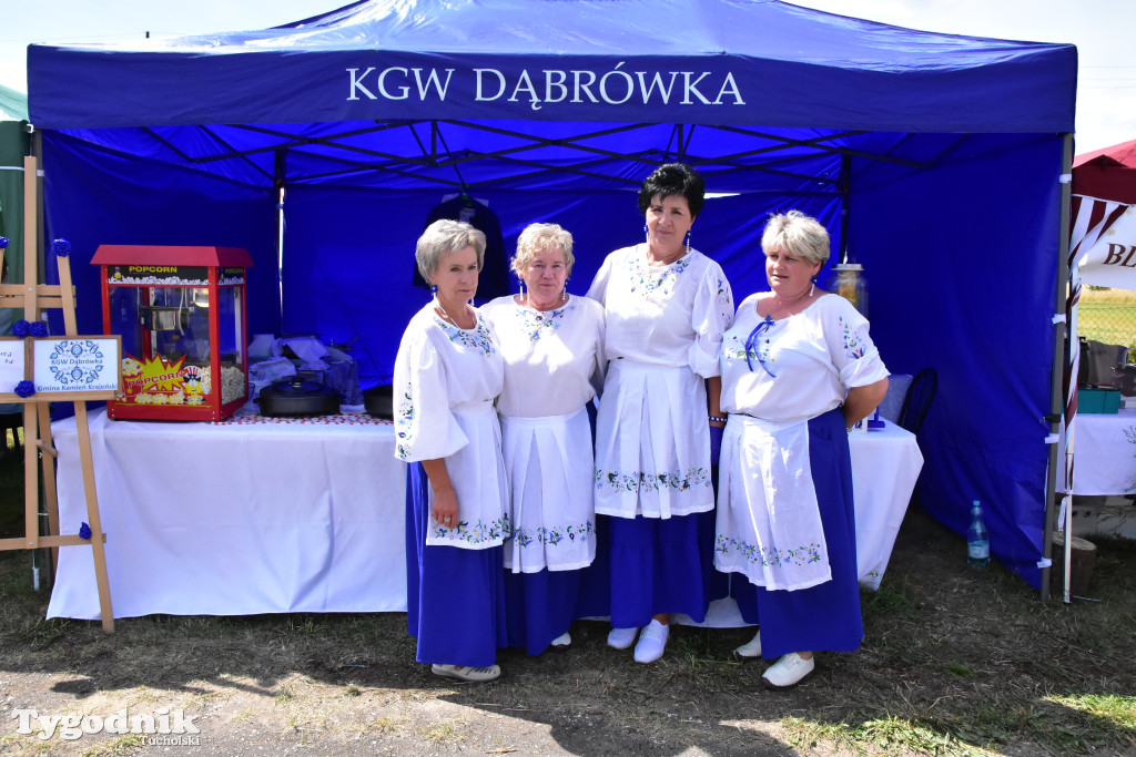 Drugie Dni Lubiewa oraz I etap X edycji Ogólnopolskiego Konkursu Kulinarnego \
