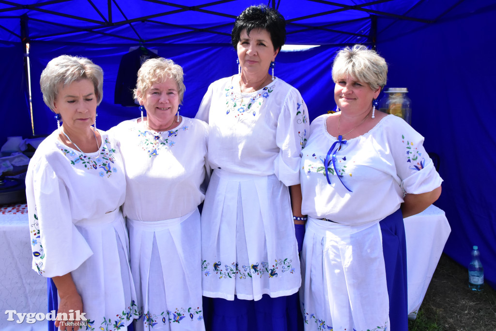 Drugie Dni Lubiewa oraz I etap X edycji Ogólnopolskiego Konkursu Kulinarnego \
