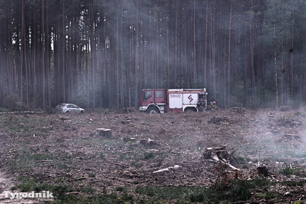 Wymysłowo - pożar w lesie. W akcji dromadery
