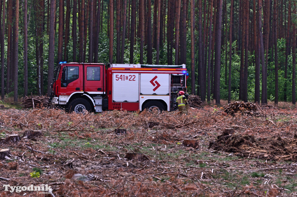 Wymysłowo - pożar w lesie. W akcji dromadery