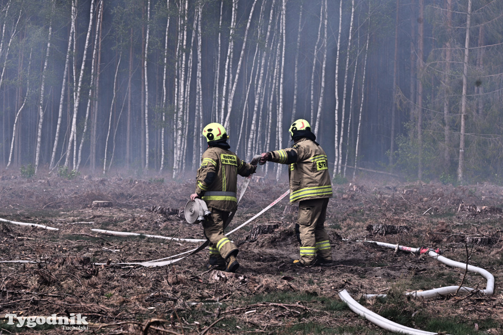 Wymysłowo - pożar w lesie. W akcji dromadery