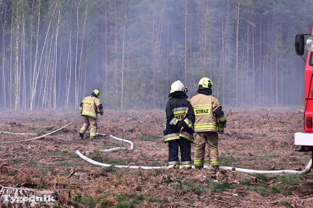 Wymysłowo - pożar w lesie. W akcji dromadery