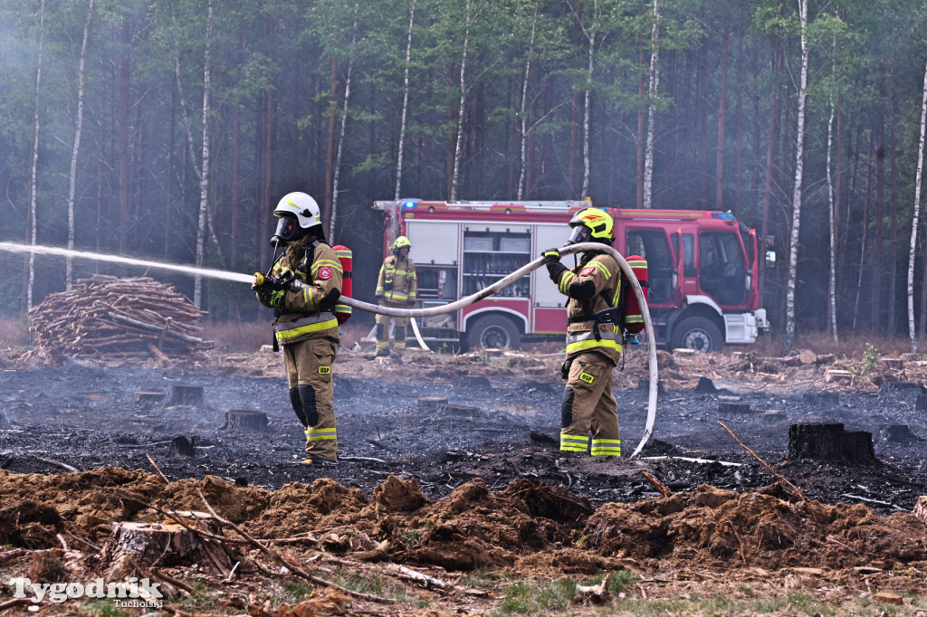 Wymysłowo - pożar w lesie. W akcji dromadery