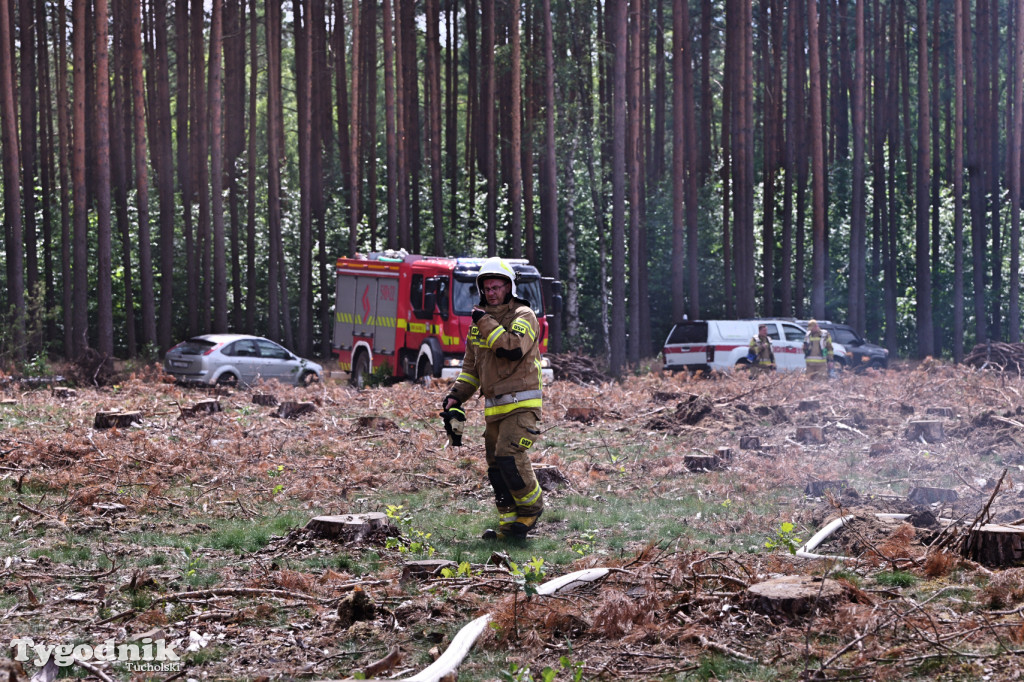 Wymysłowo - pożar w lesie. W akcji dromadery