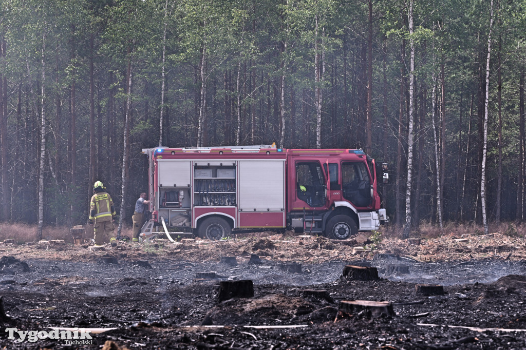 Wymysłowo - pożar w lesie. W akcji dromadery