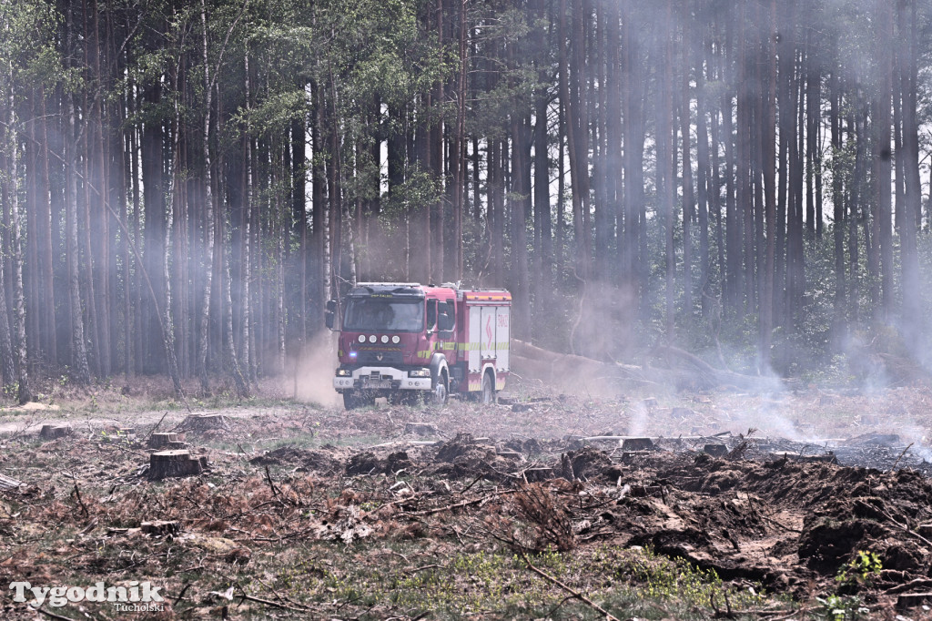 Wymysłowo - pożar w lesie. W akcji dromadery
