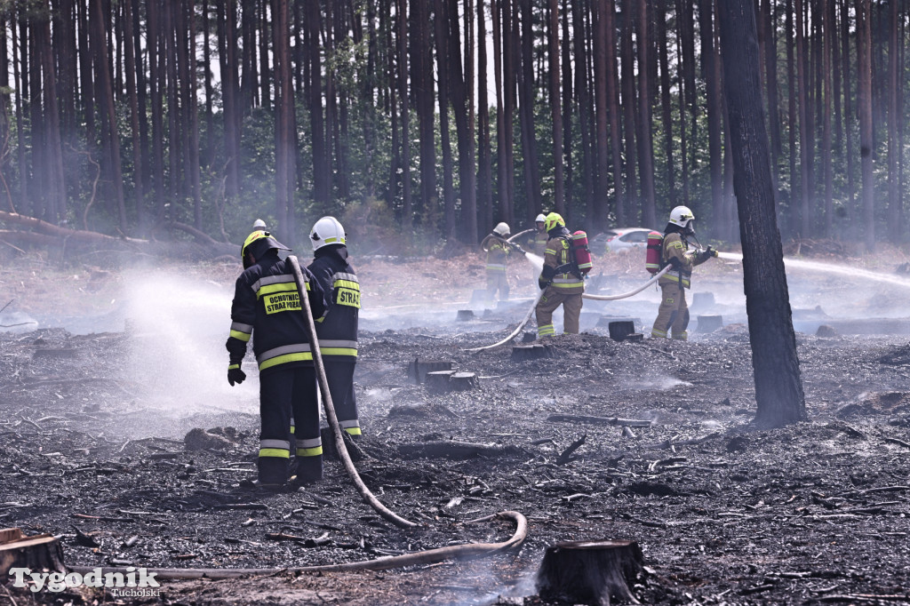 Wymysłowo - pożar w lesie. W akcji dromadery